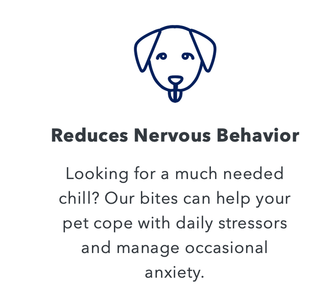 CBD for dogs with anxiety
